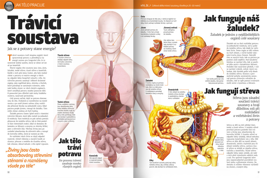 Lidské tělo