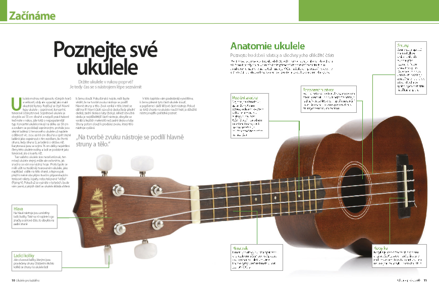 Ukulele pro každého
