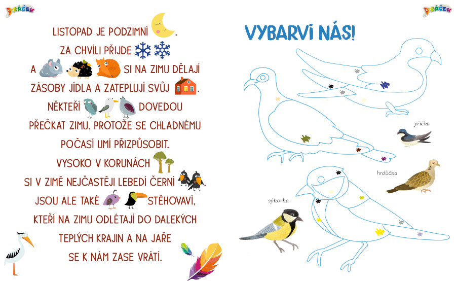 Dráček speciál č. 1 - Vymalovánky