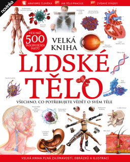 Lidské tělo