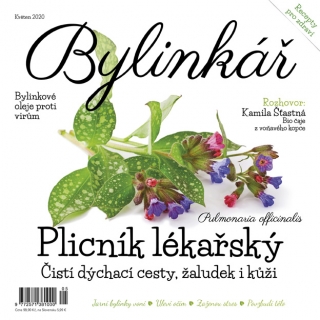 Bylinkář 5/2020 - Plicník lékařský