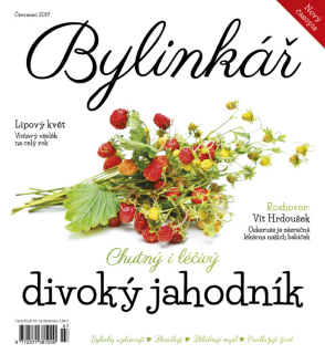 Bylinkář 7/2019 - Divoký jahodník