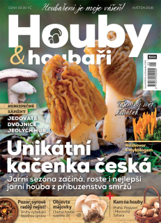 Houby a houbaři 5/2018 - Unikátní kačenka česká