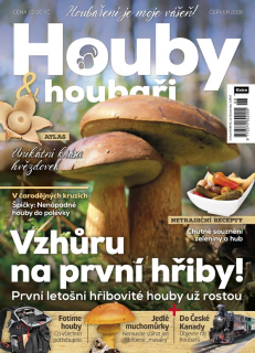 Houby a houbaři 6/2018 - Vzhůru na první hřiby!