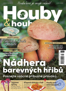 Houby a houbaři 9/2018 - Nádhera barevných hřibů