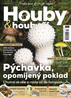 Houby a houbaři 10/2018 - Pýchavka, opomíjený poklad