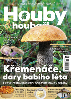 Houby a houbaři 11/2018 - Křemenáče, dary babího léta