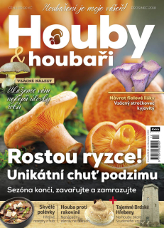Houby a houbaři 12/2018 - Rostou ryzce!