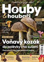 Houby a houbaři 10/2017 - Voňavý kozák do polévky i na sušení